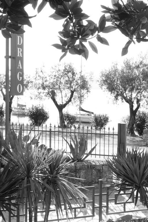 Drago Brenzone sul Garda